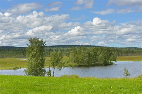 Summer Landscape In Finland Stock Image Image Of Mires Lake 75506587