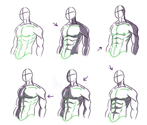 Shadow Drawing Anatomy Sketches How To Draw Abs