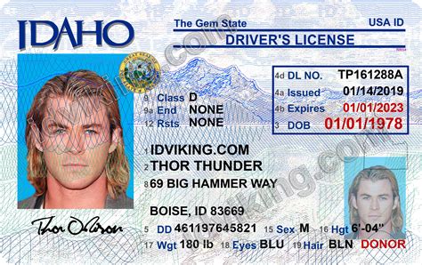 Driver License Template Download