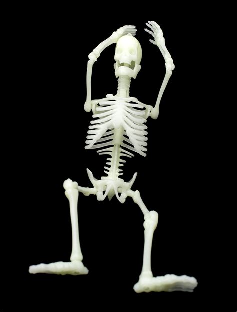 Image Of Laid Back Skeleton Creepyhalloweenimages