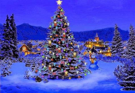 Christmas Tree Desktop Wallpaper 1280x900 Download Hd Wallpaper