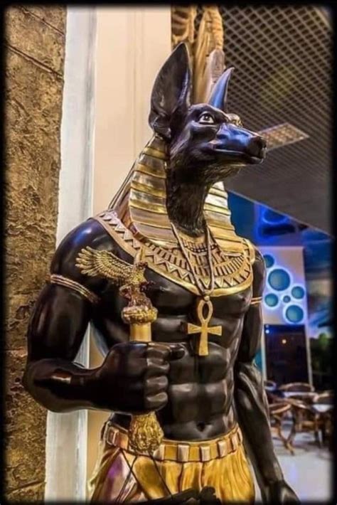 Anubis Lord Of The Dead Egyptian Gods Ancient Egypt Gods Anubis