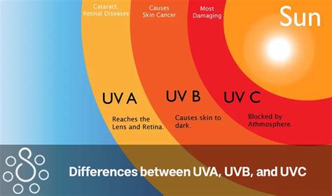 Differences Between Uva Uvb And Uvc Surya Home