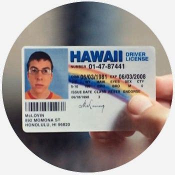 Your meme was successfully uploaded and it is now in moderation. McLovin - Fictional Characters by Dictionary.com