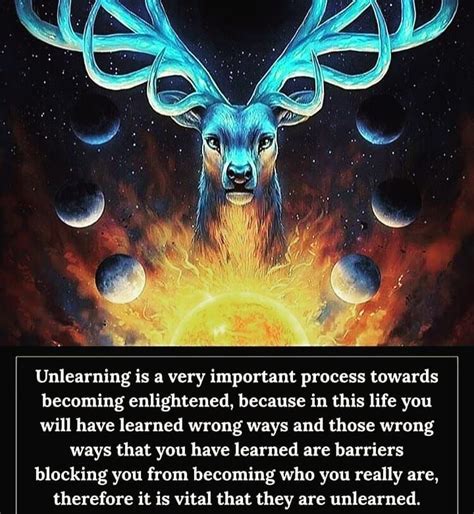 Unlearning Is The Process Ive Been Experiencing Since The Beginning Of