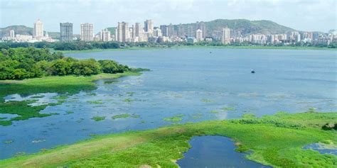 Powai Lake Mumbai 2023 Mumbai Tourism