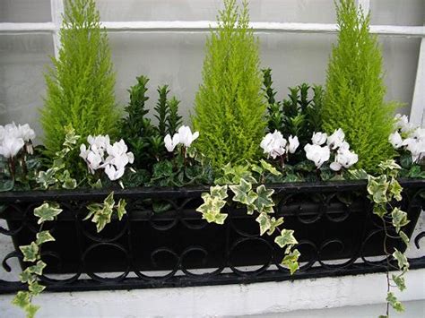 Find deals on products in car accessories on amazon. Winter window box | Gardening | Pinterest