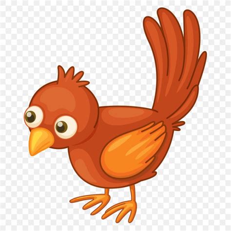 Bird Finch Domestic Canary Clip Art Png 1000x1000px Bird Beak