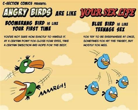 Bedroom Bird Game Graphics Angry Birds Are Like Your Sex Life Comic