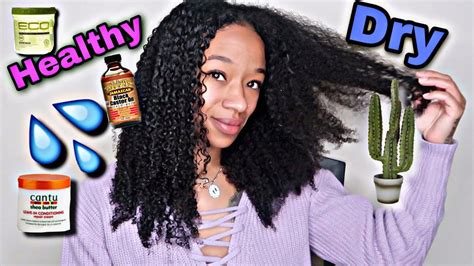 How To Properly Moisturize Dry Natural Hairstep By Step Youtube