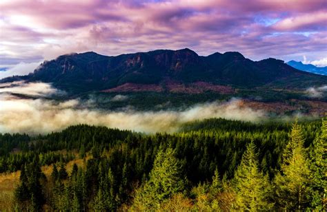 United States Oregon Mountain Fog Forest Tree Landscape Hd
