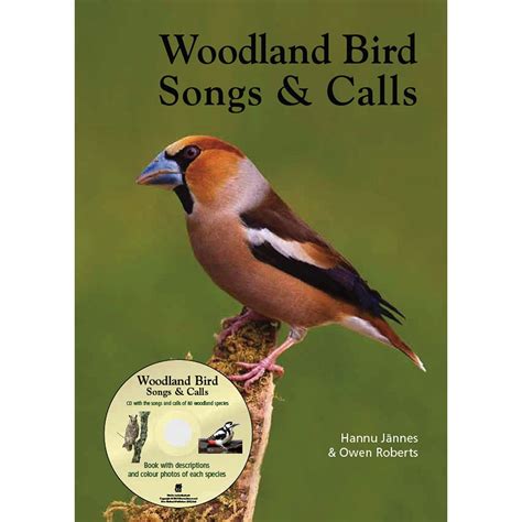 Bird In Everything Bird Encyclopedia Book
