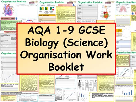 Aqa 1 9 Gcse Biologyscience Biological Organisation Revision Workbook