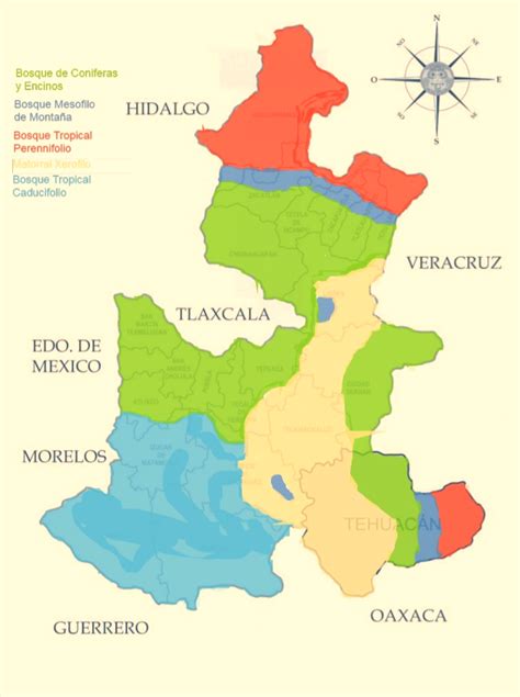 Ecosistemas En Puebla