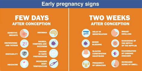 early signs of pregnancy first 2 weeks before missed period photo sign in