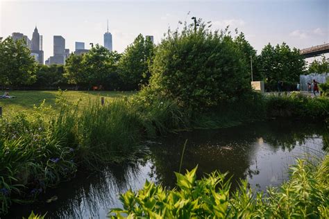 Urban Habitat Biodiversity In Our Cities Video Nature Works