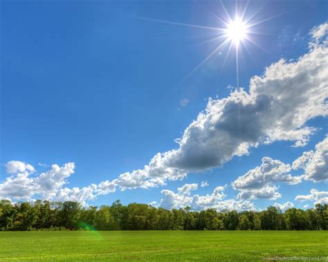 Clear Sky On A Sunny Day Cloud Field Tree Nature 2560x1600 Hd