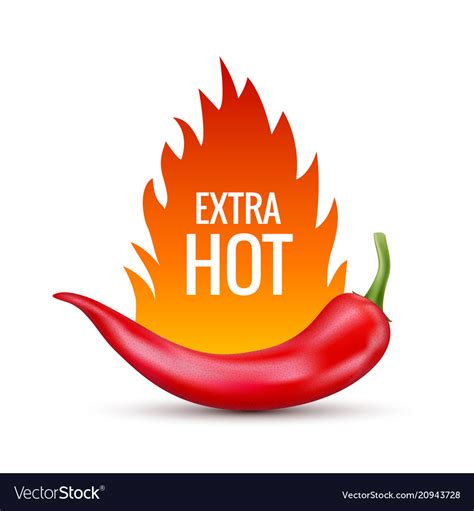 Fresh Red Hot Chili Pepper Royalty Free Vector Image
