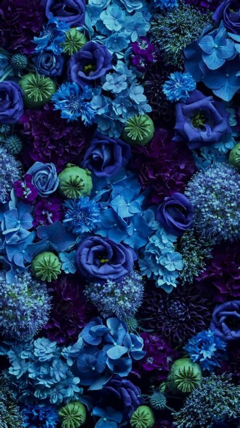 Purple And Blue Flowers Blue Flower Wallpaper Flower