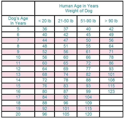 Dog Human Age Chart