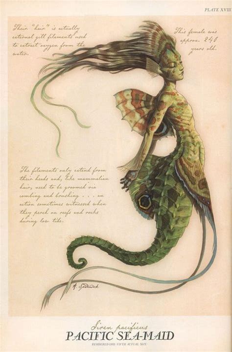 Merfolk Mythical Creatures Art Fairytale Creatures Spiderwick