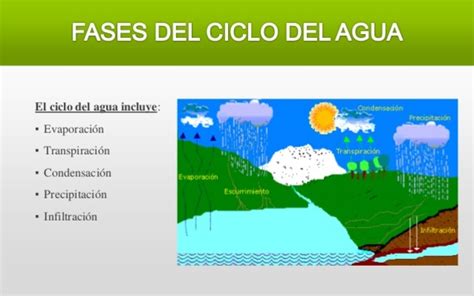 El Ciclo Del Agua Timeline Timetoast Timelines