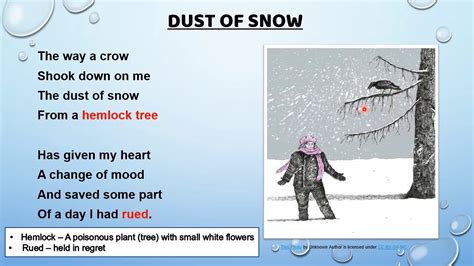 Dust Of Snow Class 10 Poem 1 Explanation Word Meanings Literary Devices