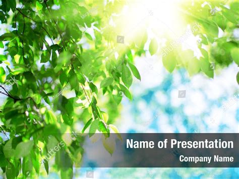 Landscape Green Leaf In Sunlight Powerpoint Template Landscape Green