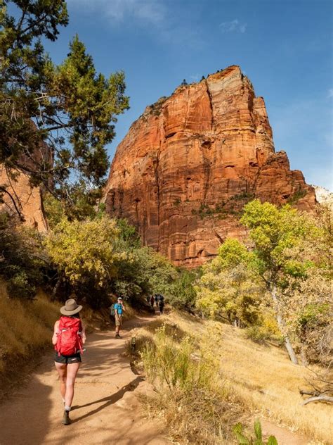 The Ultimate 1 Day Zion National Park Itinerary 9 Best Hikes