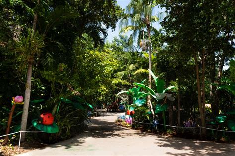 Jungle Island Miami Visitors Guide