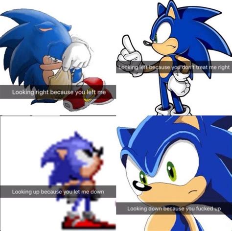 Sonic And Shadow Funny Meme