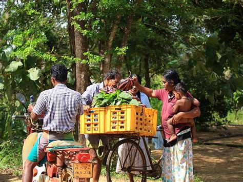 Village Walk In Sri Lanka Village Life Village Photo