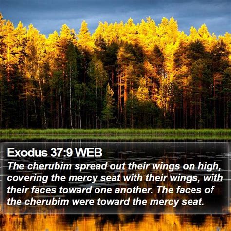 Exodus 379 Web The Cherubim Spread Out Their Wings On High