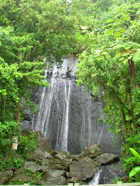 El Yunque Puerto Rico Beautiful Rainforest Wallpaper