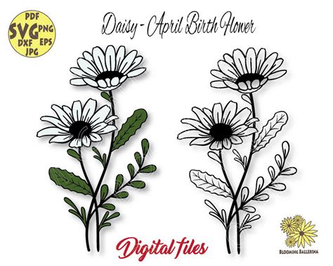 Flower Svg Daisy Flower Flower Crown April Birth Flower Birth Month