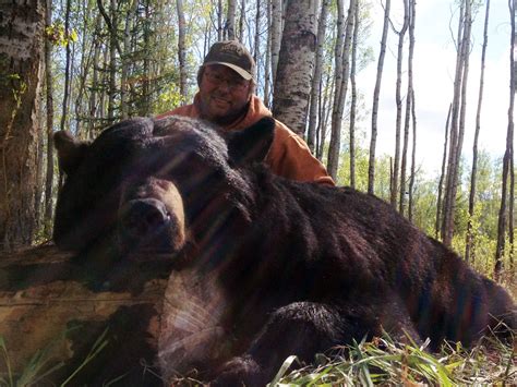 Black Bear Hunting Outfitters Alberta Canada Alberta Canada Hunting