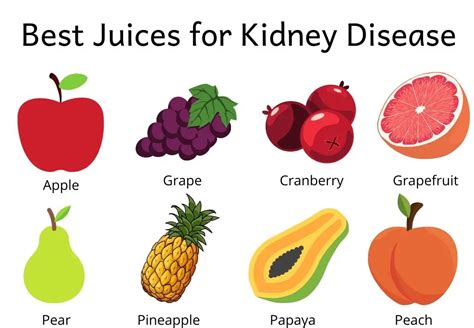 The Best Juice For Kidney Disease The Kidney Dietitian