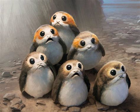 Whats Your Opinion On Porgs Rstarwars