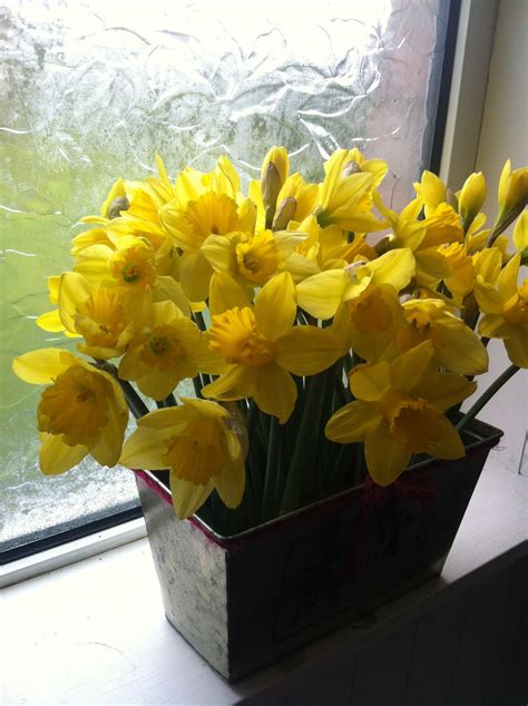 Daffodil Indoor Window Trough Artificial Flowers Daffodils Daffodil