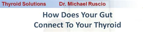 Thyroid And Your Gut Gluten Food Allergies And Thyroid Dr Michael