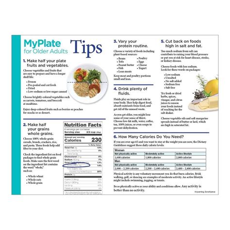 Myplate For Older Adults Handouts In 2023 Food Nutrition Healthy Eating