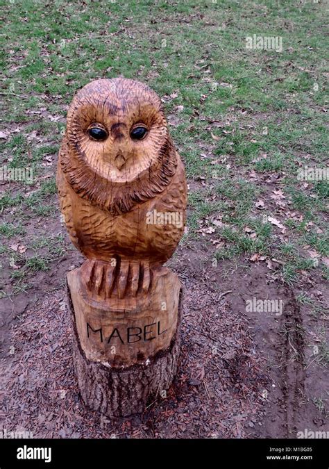 Carved Wooden Owl High Resolution Stock Photography And Images Alamy