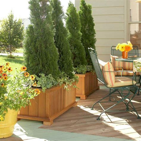 5 Ways To Decorate Your Deck Or Patio With Plants Patio Plants