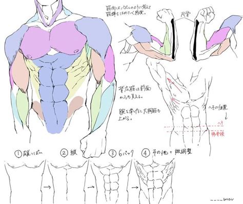 Repeated heavy lifting or a sudden awkward movement can strain back muscles and spinal ligaments. Back Muscles Drawing Reference Anime / 1000+ images about ...