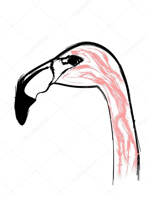 Flamingo Madarak Stiliz Lt Mint Rajz Ceruza Stock Vektor Oxanka