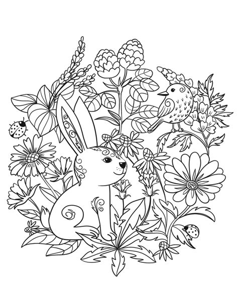 Spring Rabbit Coloring Page For Adult And Children Stock