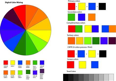 A3 Digital Colour Wheel Rayna Daly