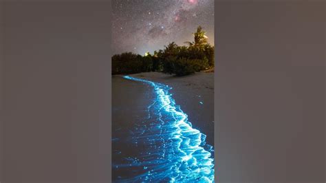 Milky Way Galaxy And The Bioluminescent Sea Nasa Astronomy Picture Of