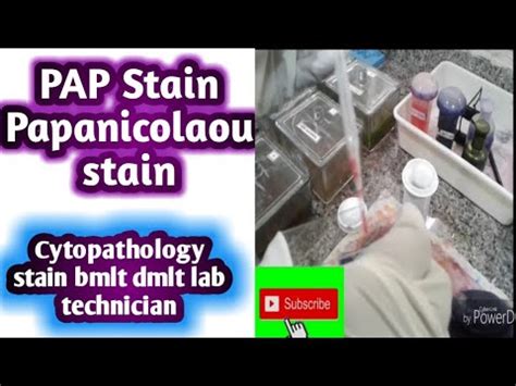 Pap Stain Cytopathology Stain Gynae Cytology Stain Papanicolaou Stain YouTube