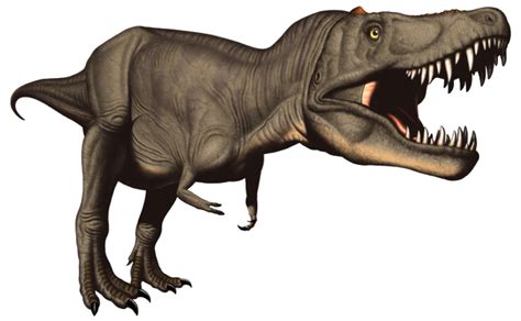 Tyrannosaurus rex was a large carnivore; Clipart Panda - Free Clipart Images